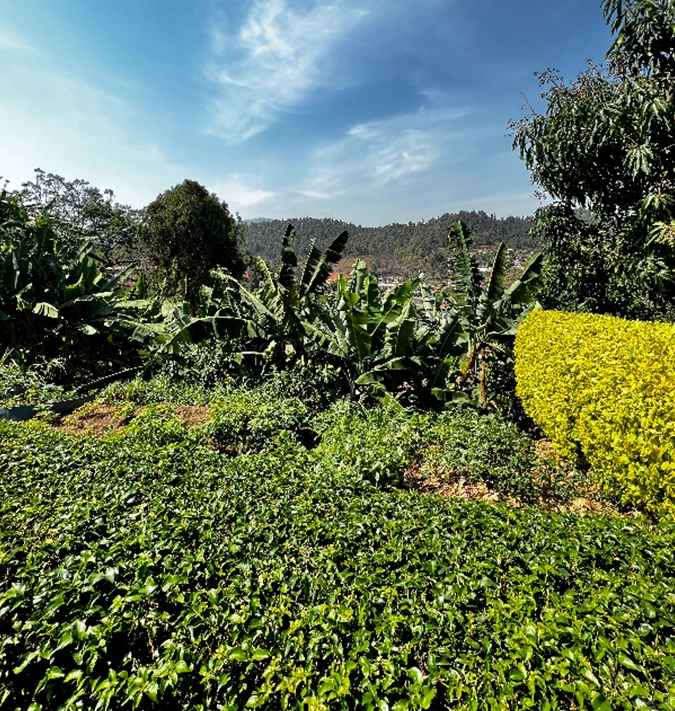 Rebero Kivu Resort